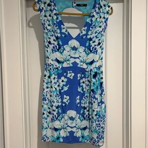 Oasis Blue and White Floral Mini Dress